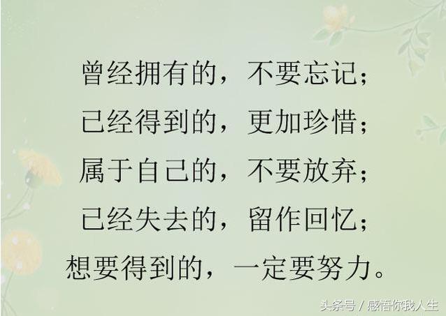 15315031909355abaa3ded1.jpg