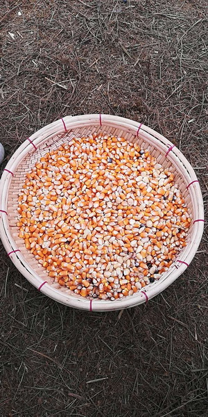 212743hklpdzazmci3vcqs.jpg