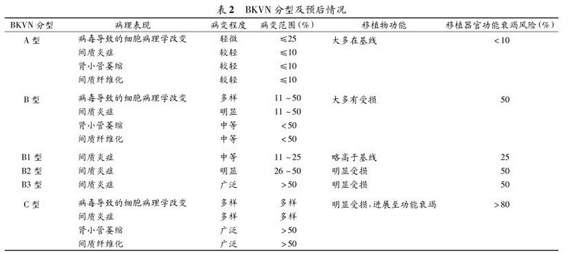 135240boxeo9xxvxq6xplh.jpg