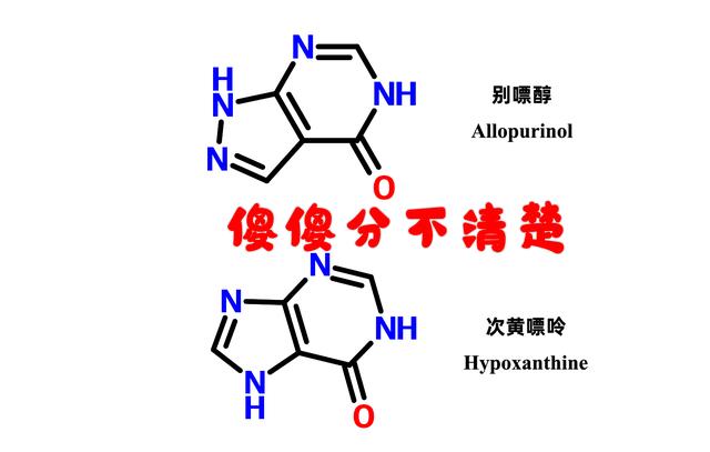 图1-1 别嘌醇的分子结构与次黄嘌呤极其相似.jpeg