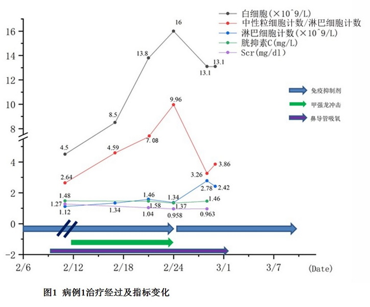 图1 病例1治疗经过及指标变化.jpg