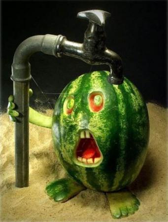 发现几个有意思的图