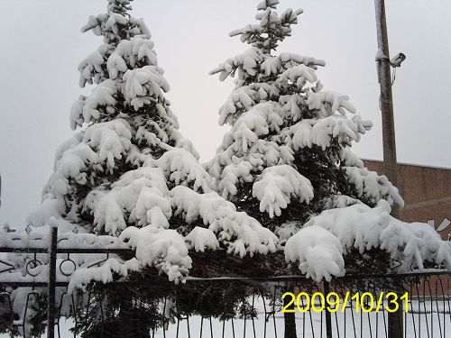 下了第一场雪
