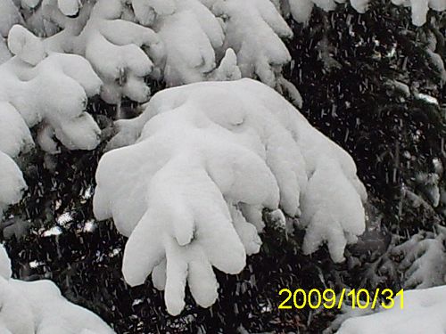 下了第一场雪