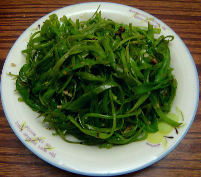 看看我做的菜