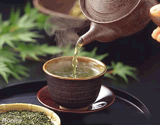 2009年第17届世界移植运动会  专题报道