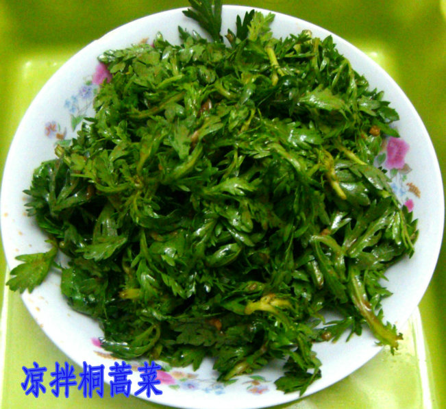 看看我做的菜