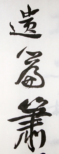 DSC02195.jpg