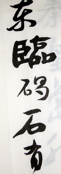 DSC02194.jpg