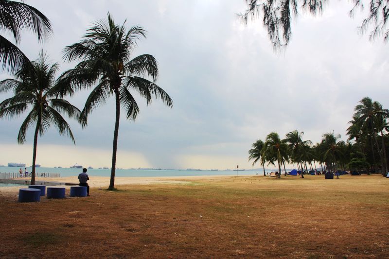 东海岸的风景