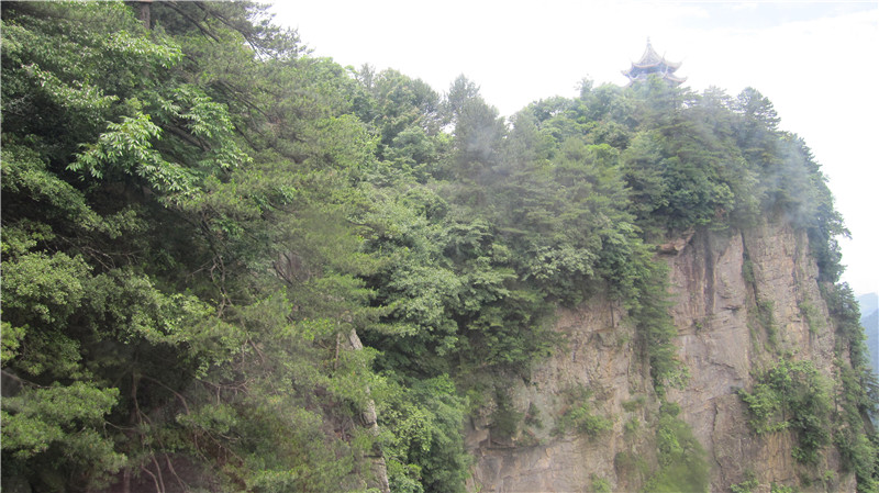 IMG_0050_副本.jpg