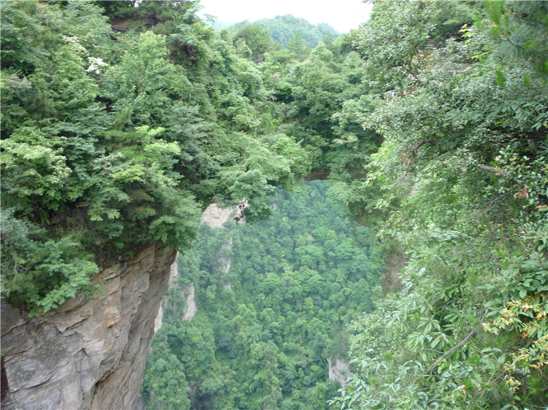 能看出来吧，这是