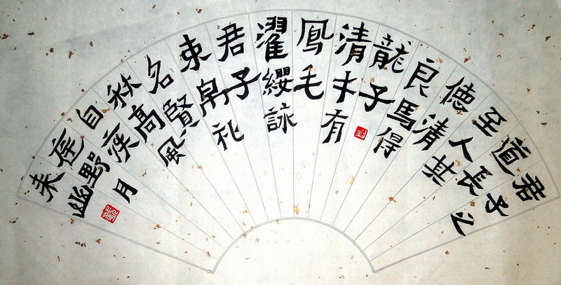 DSC02243b.jpg
