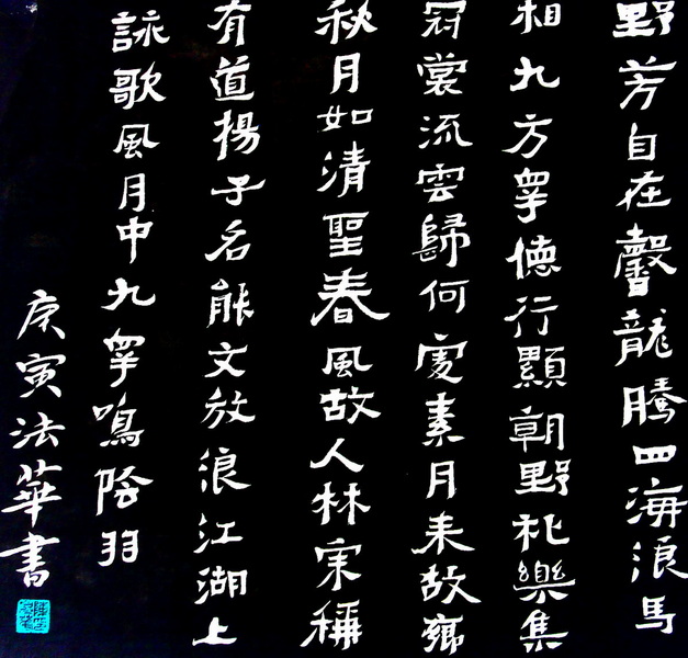DSC02252b.jpg