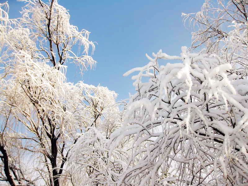 4冬雪1.jpg