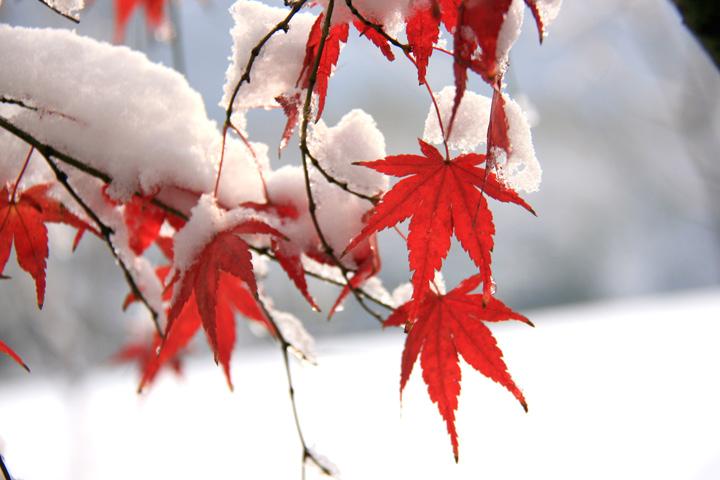 IMG_3580.JPG