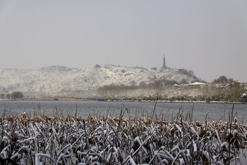 920.jpg