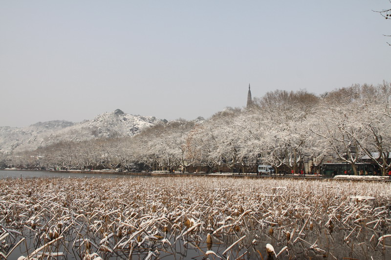 947.jpg