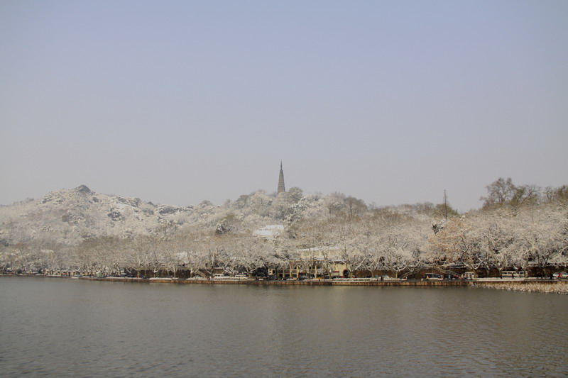 951.jpg