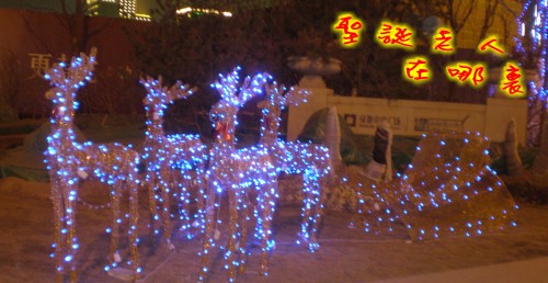 圣诞鹿（缩）.jpg