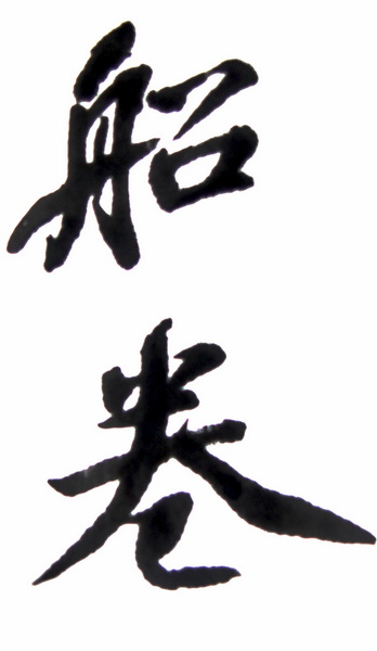 DSC02335.jpg