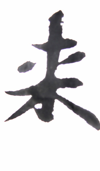 DSC02337.jpg