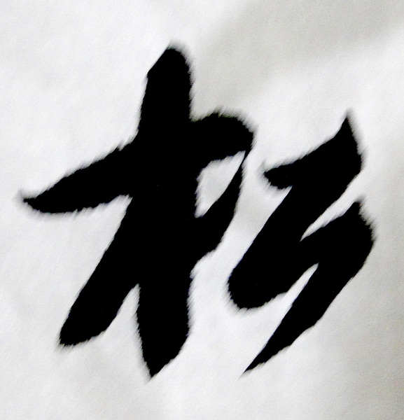 DSC02355.jpg