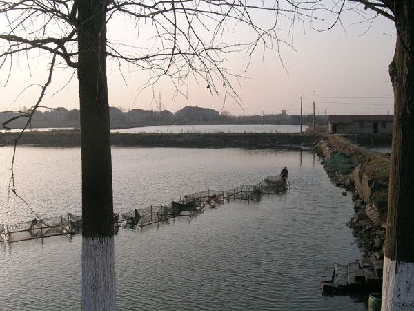 DSCN4194.jpg