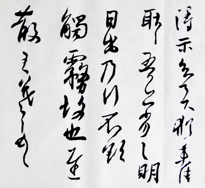 DSC02459.jpg