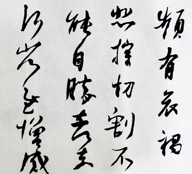 DSC02461.jpg