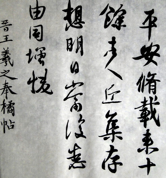 DSC02464.jpg