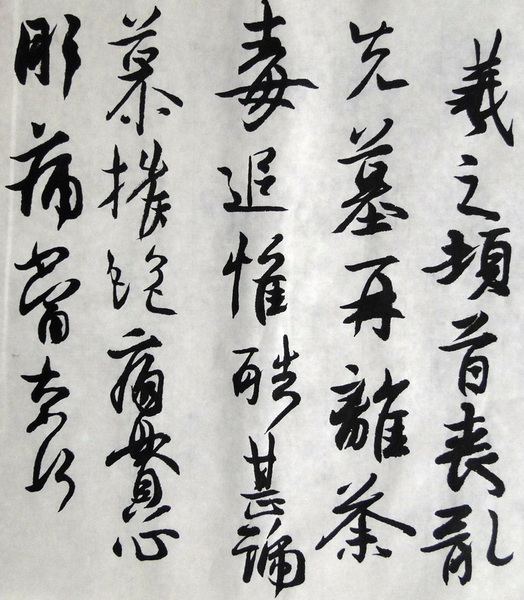 DSC02465.jpg
