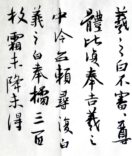 DSC02472.jpg