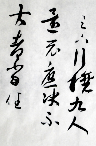 DSC02478.jpg