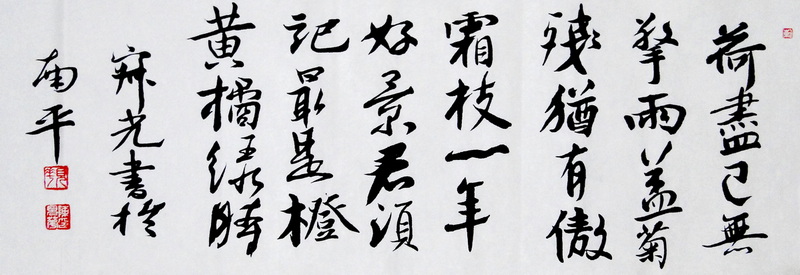 DSC02504bg.jpg