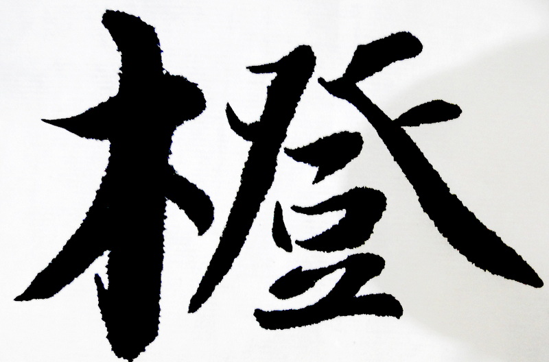 DSC02505.jpg