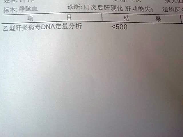 20101227dna.jpg