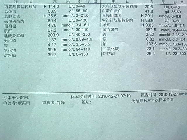 20101227肝功能.jpg