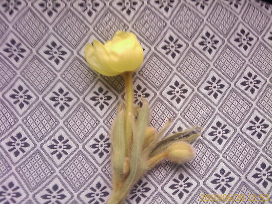 201111411155734475.jpg