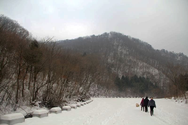 带我们进山