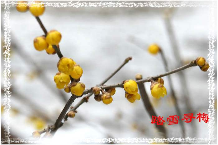 IMG_5124副本.jpg