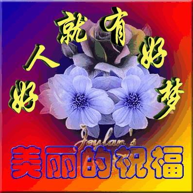 1_p01.jpg
