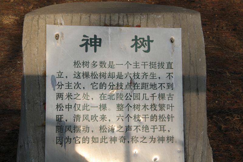 北陵 218.jpg