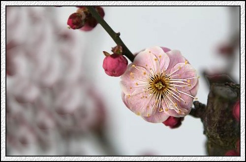 IMG_0401_conew1.JPG