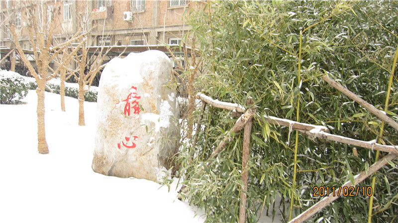 静心