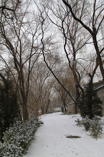 IMG_1952.JPG