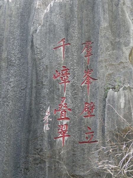 DSC00389.jpg