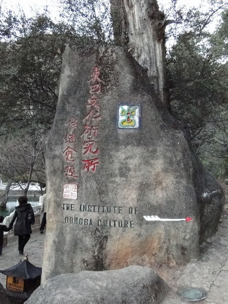 DSC00870.jpg