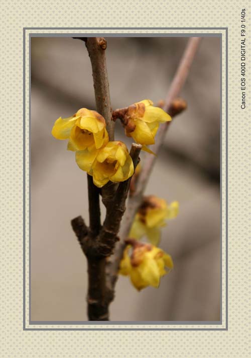 IMG_7316_conew2.jpg