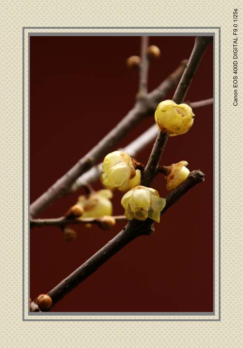 IMG_7328_conew1.jpg